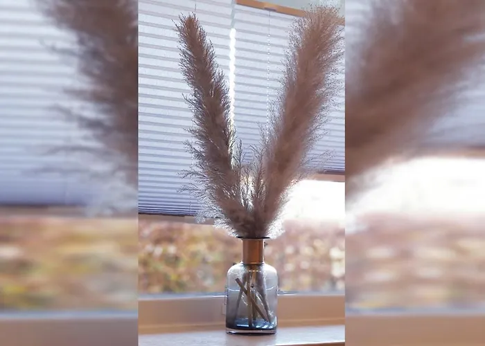 Aust Eg Sankt Peter-Ording